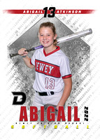 agibail atkinson 5x7