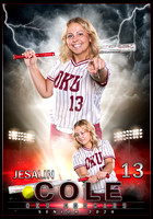 jesalin cole 28x40 SOFTBALL 13