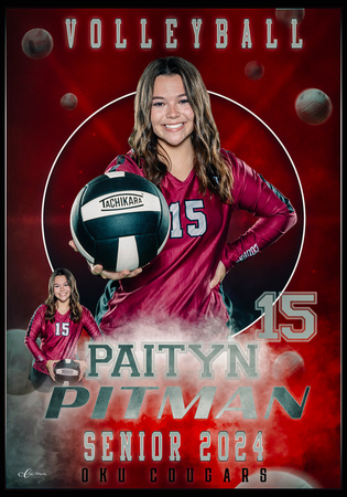 PAITYN PITMAN - VOLLEYBAL  28X40