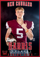 JAKE HARRIS BANNER FOOTBALL 28X40