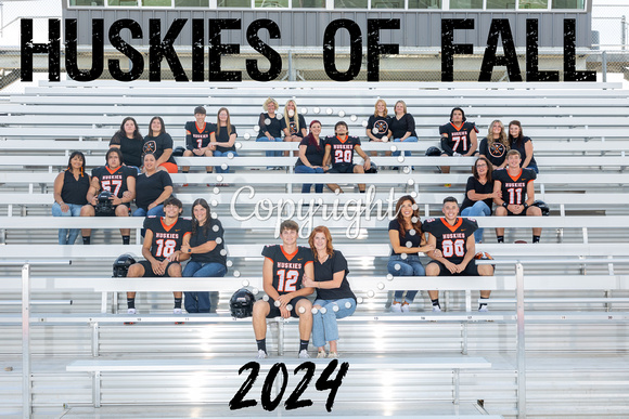 B43A6052 huskies of fall