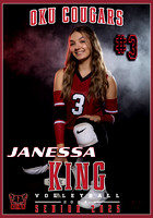 JANESSA KING VOLLEYBALL OKU BANNER 28X40