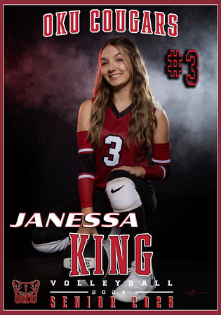 JANESSA KING VOLLEYBALL OKU BANNER 28X40