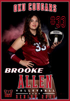 BROOKE ALLEN VOLLEYBALL OKU BANNER 28X40