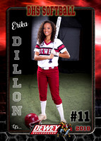 erika dillon 5x7